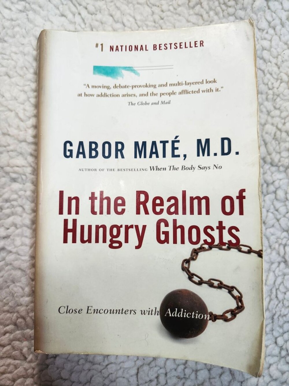 Gabor Mate In the Realm of Hungry Ghosts Paperback Vintage Canada 2009 Addiction